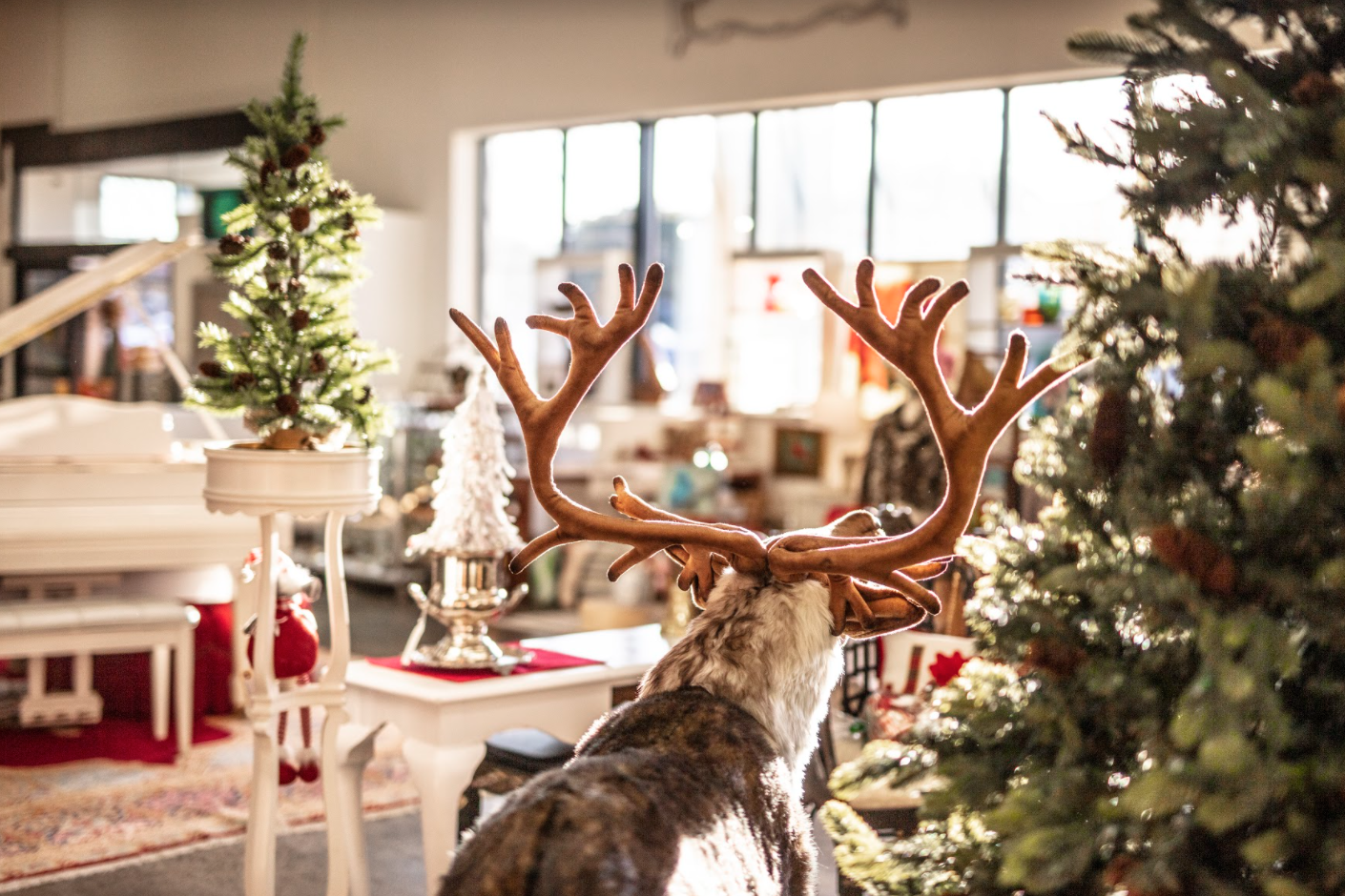 5 Ways Seasonal Decor Can Spread Joy Around Your Home this Holiday Season